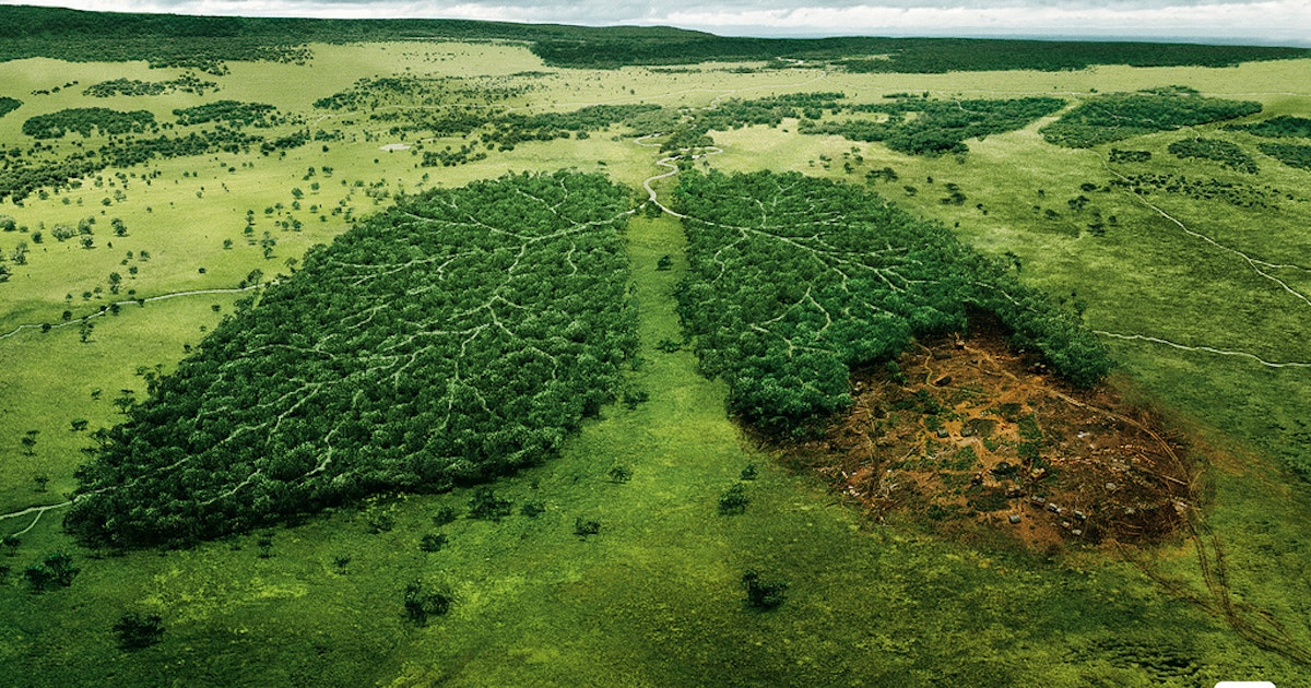 As A Scientist Sometimes I Understand Too Much About My