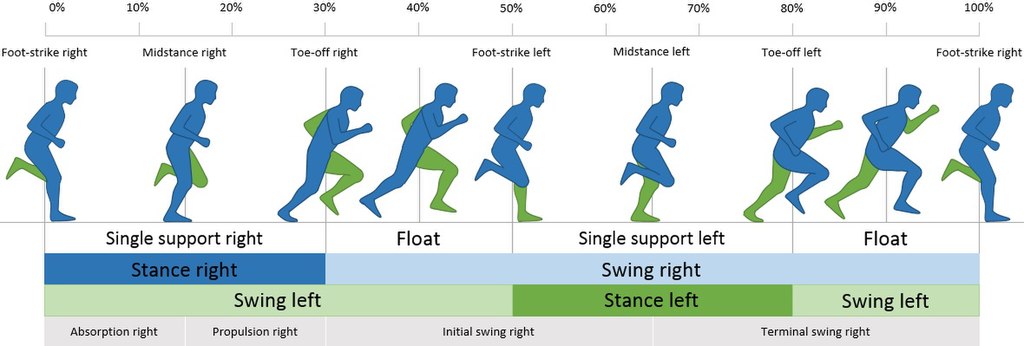 A diagram showing the steps involved in a running gait