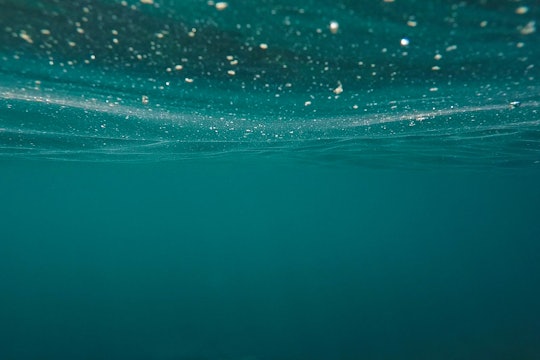 an underwater view of open ocean