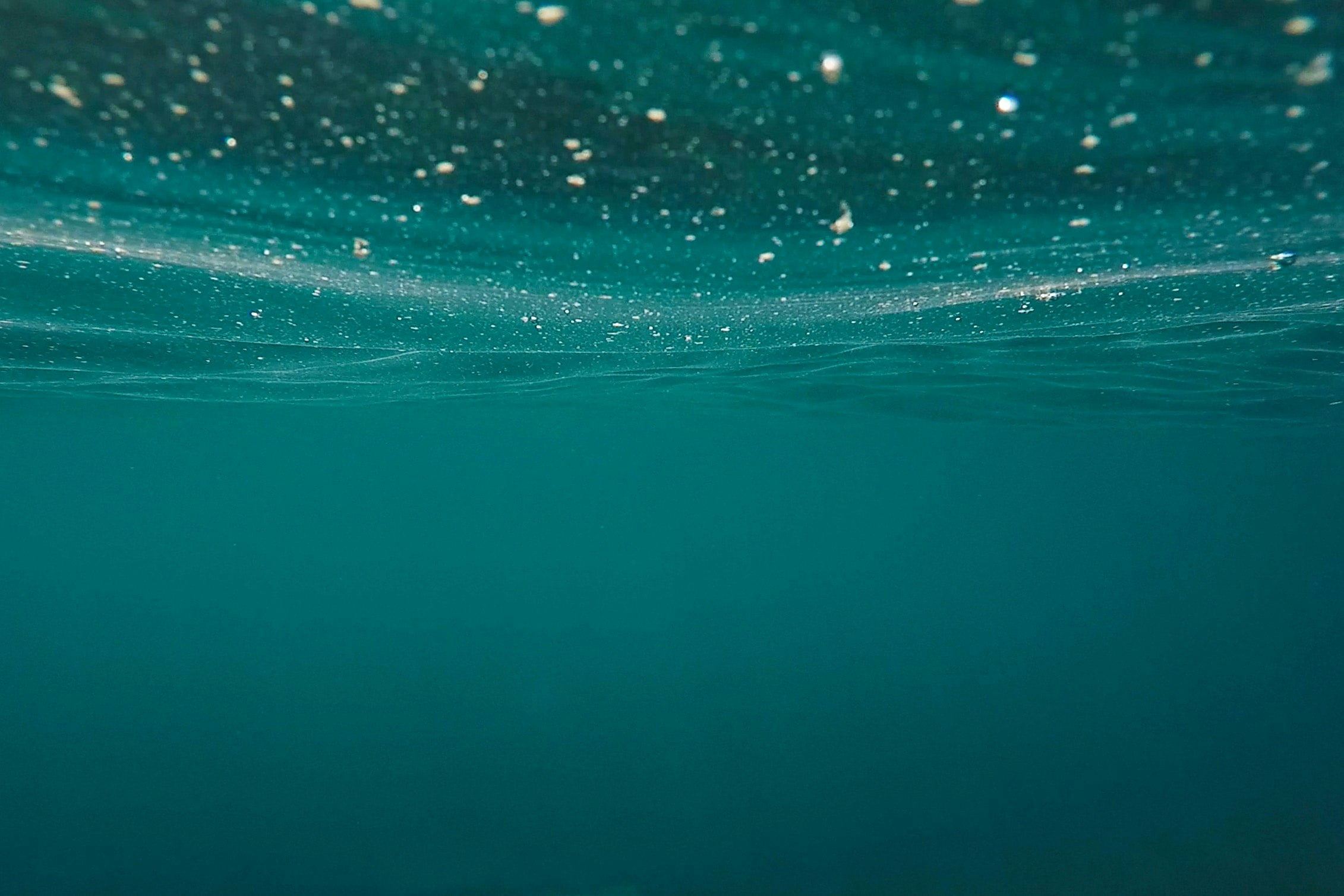 an underwater view of open ocean