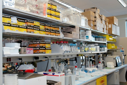 A lab bench in a molecular biology lab
