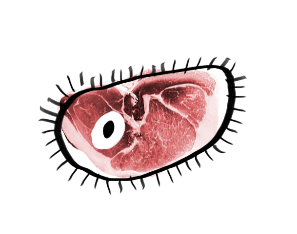 A crude drawing of a cell is overlaid upon a cut of ham