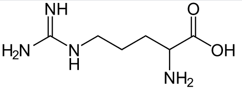 A diagram of the amino acid arginine.
