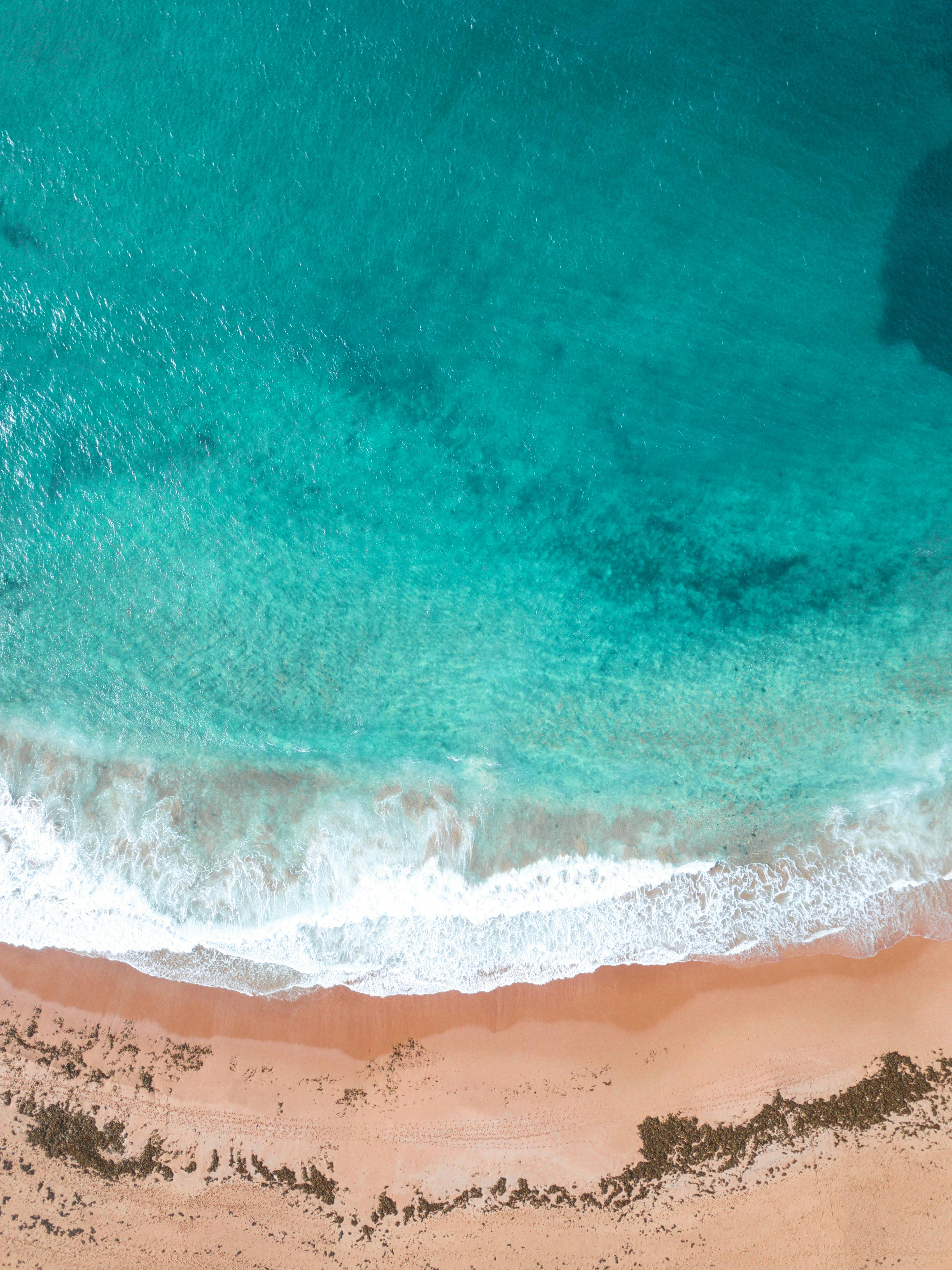 The beach shore in Sydney, Australia, complete with turquoise water 