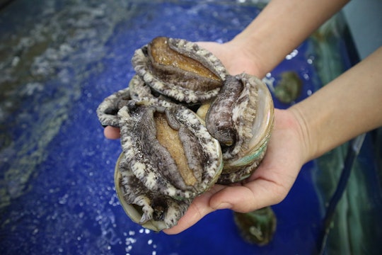a person holding several abalone for the camera