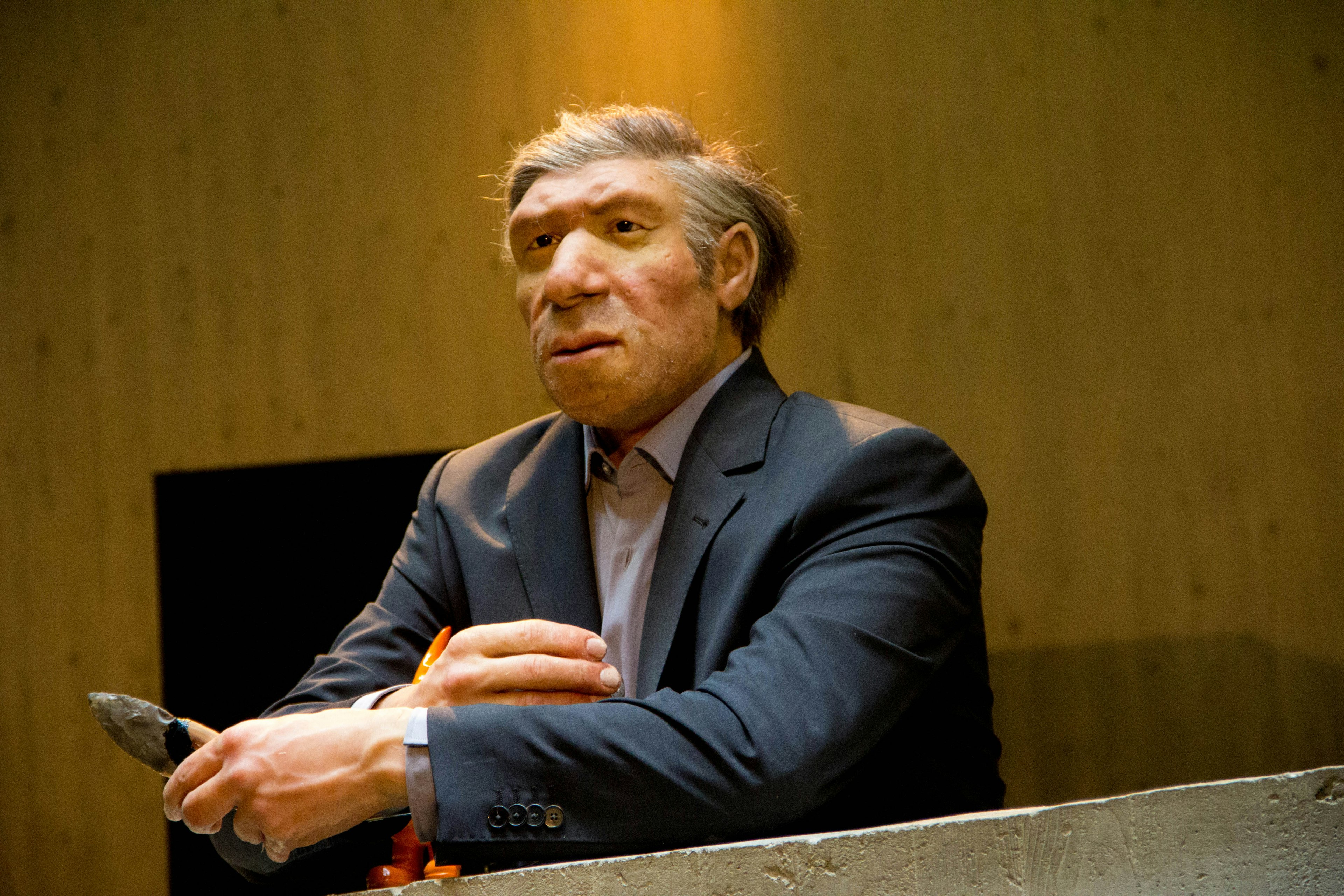 Neanderthal in a business suit at the Neanderthal Museum, Mettmann, Germany