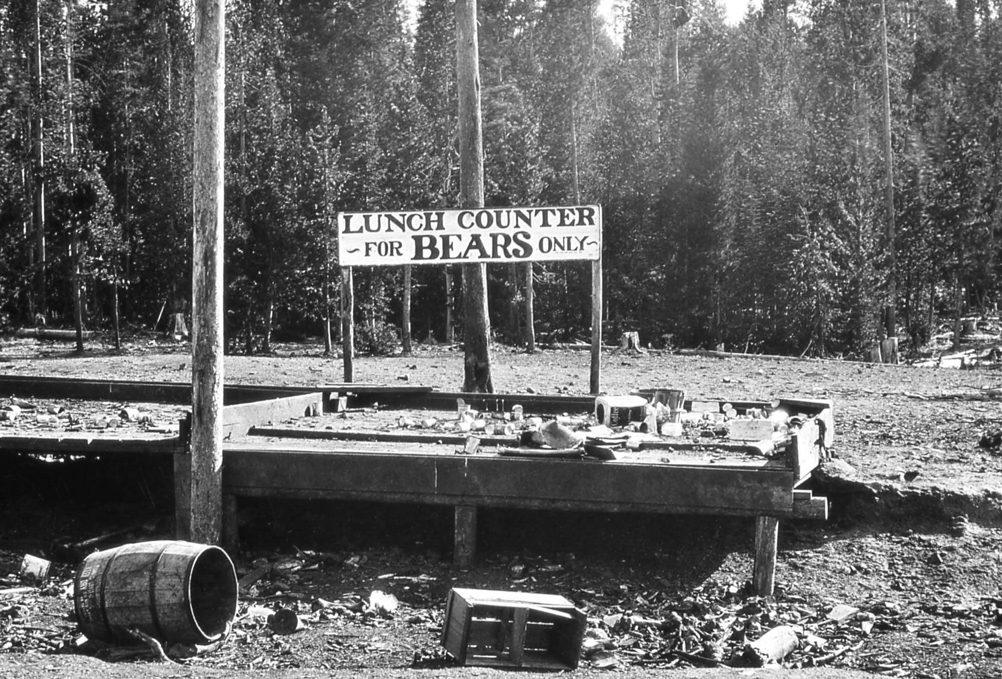 A platform with garbage on it and a sign that says, "Lunch counter for bears only."
