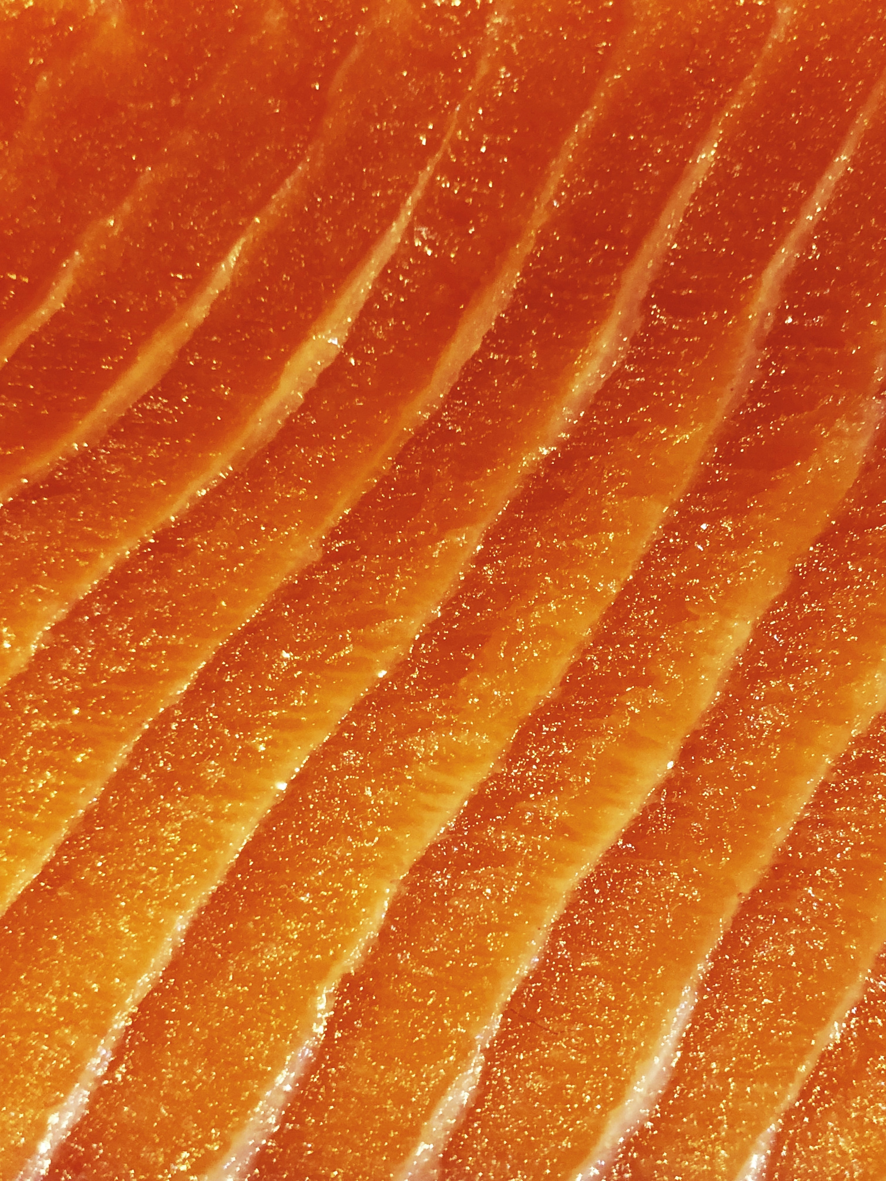 salmon up close