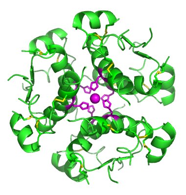 The chemical structure of insulin.