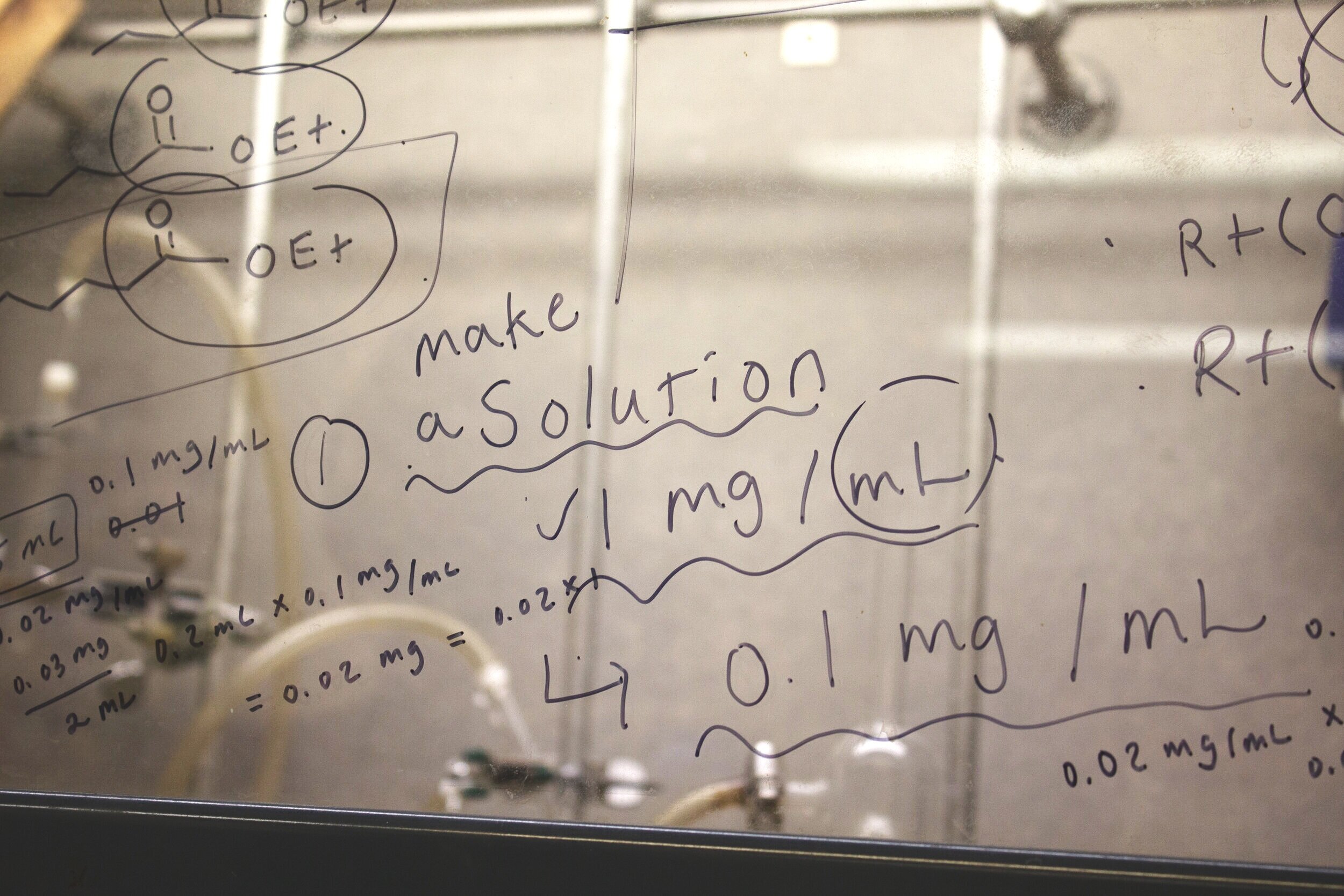 Some notes on a laboratory protocol written on a marker board. 