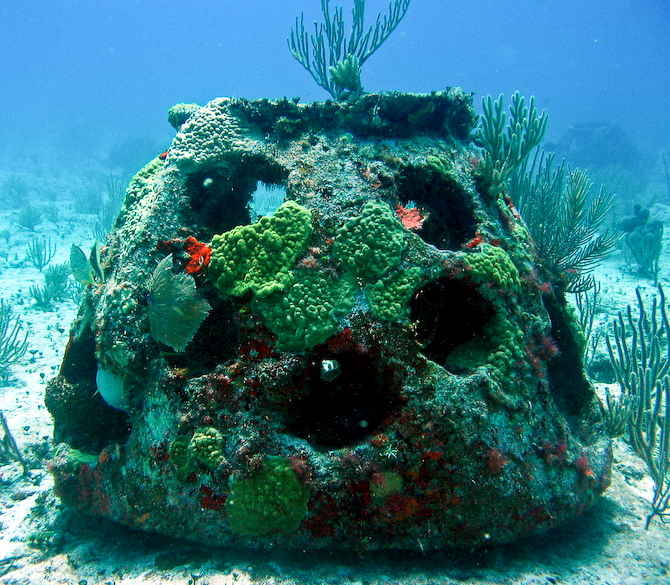A mature growth Reef Ball creating a home for aquatic plants and animals