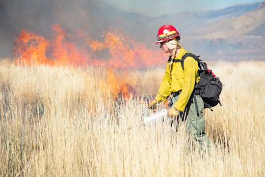 A prescribed burn at Yellowstone NP