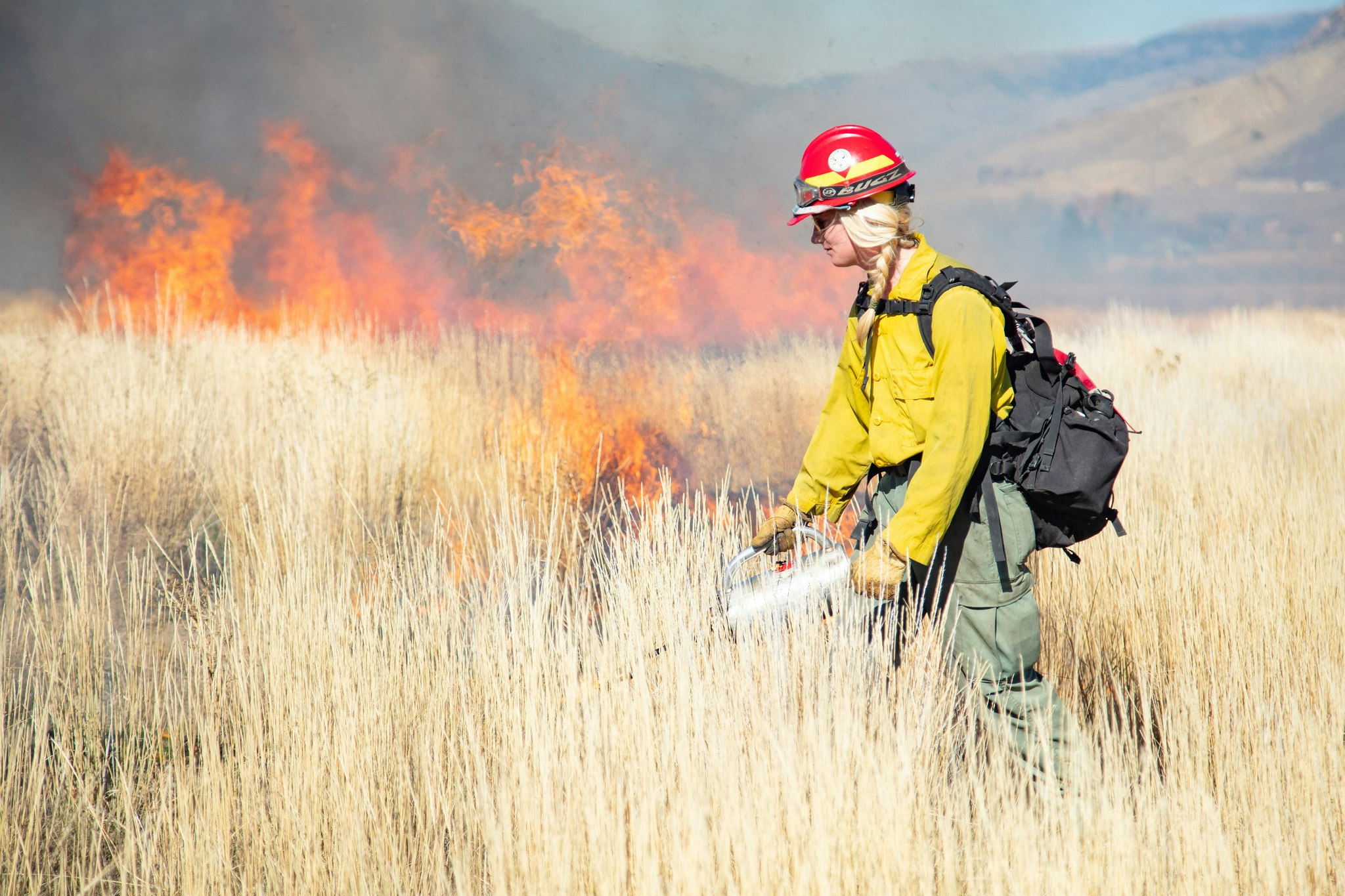 A prescribed burn at Yellowstone NP