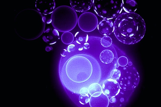 purple bubbles (vesicles) against a black background