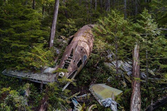 The wreckage of a plane that crashed in a forest.