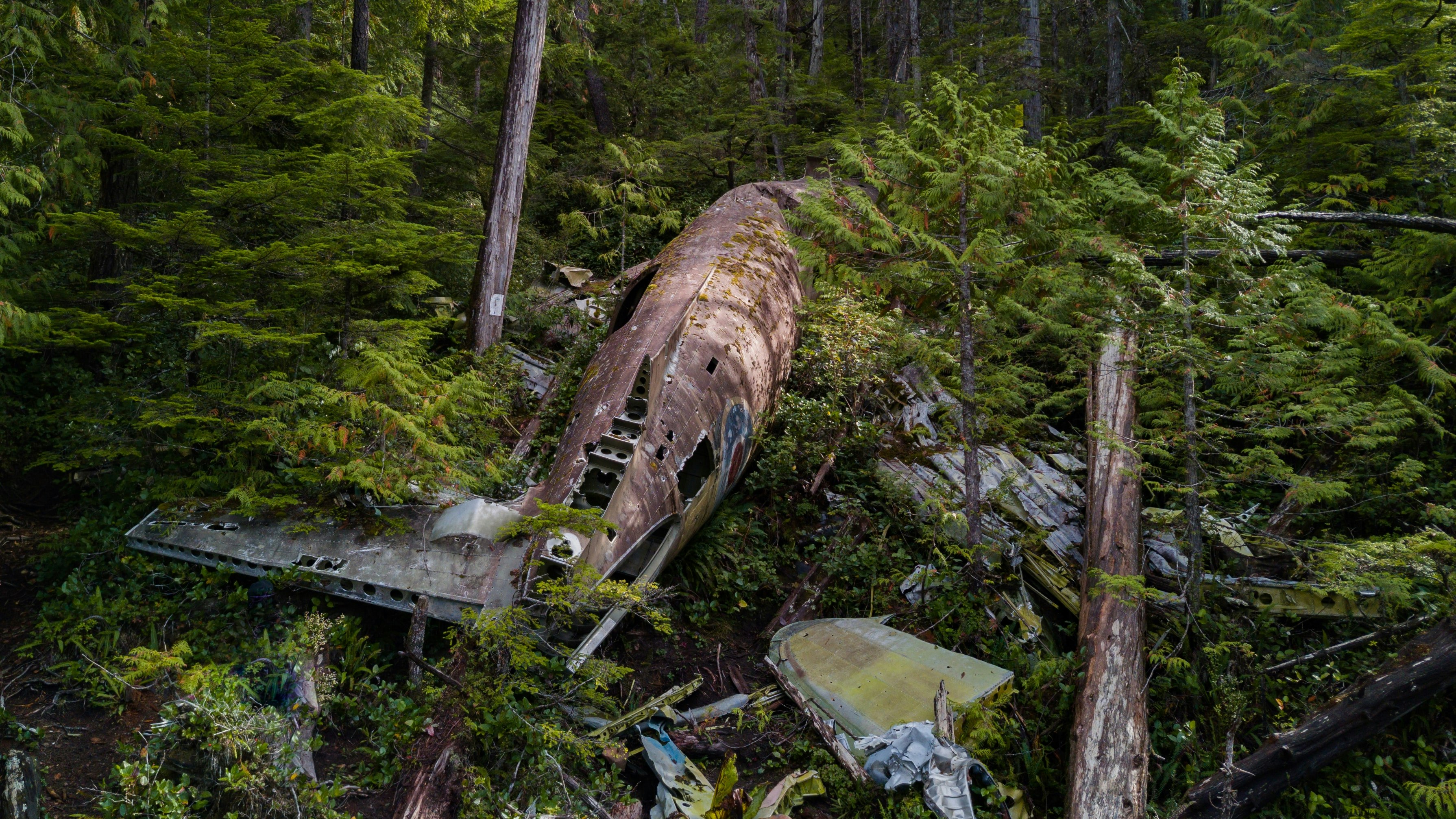 The wreckage of a plane that crashed in a forest.