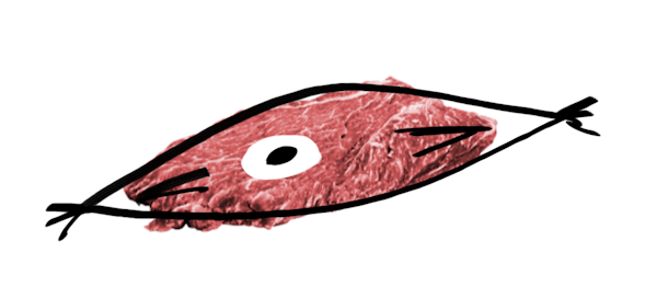 A crude drawing of a cell is overlaid upon a cut of flatiron steak