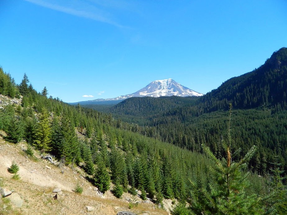 Northwest Face of Mount Adams viewed from the lower slopes of East Canyon Ridge. 