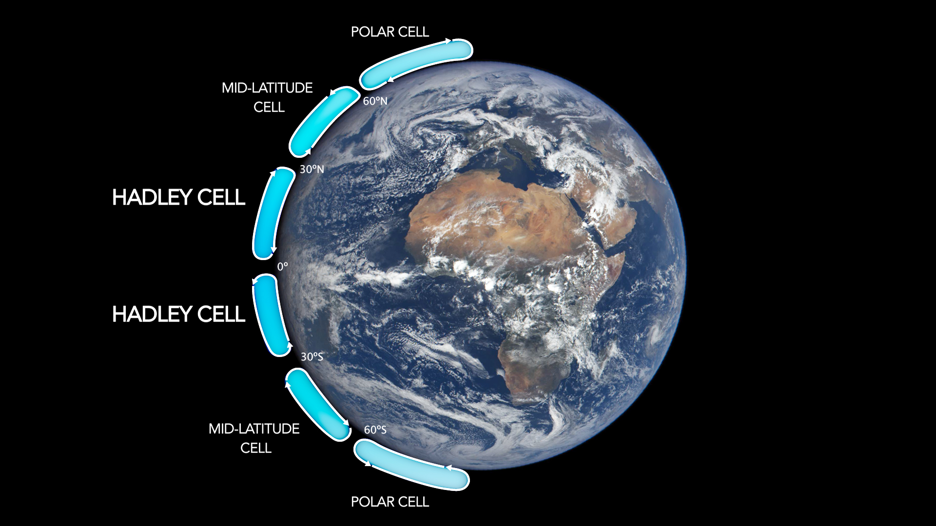 A picture of the Earth with different climate circulation cells labeled: Hadley cells, Ferrel cells, and Polar cells