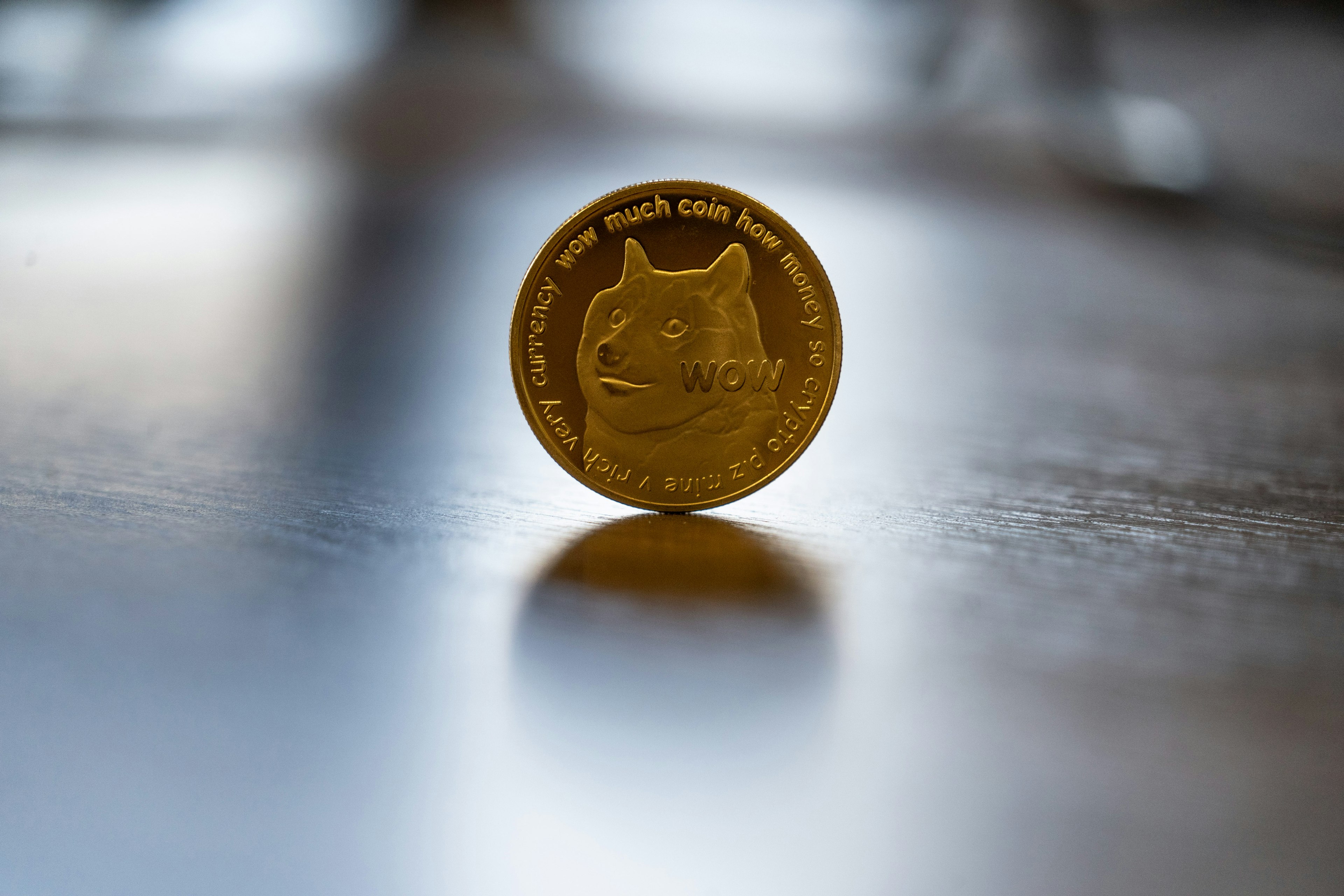 A dogecoin coin sitting on a table