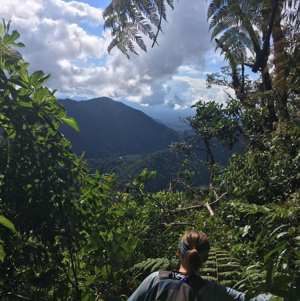 Cassie Freund looks out over a tropical Andean forest landscape
