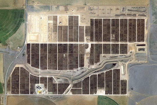 Friona Feedyard, Parmer County, Texas