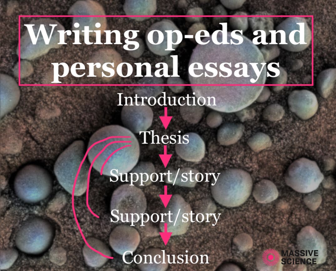 graphic showing the connection between an introduction, thesis, support, and conclusion in scientific op-eds