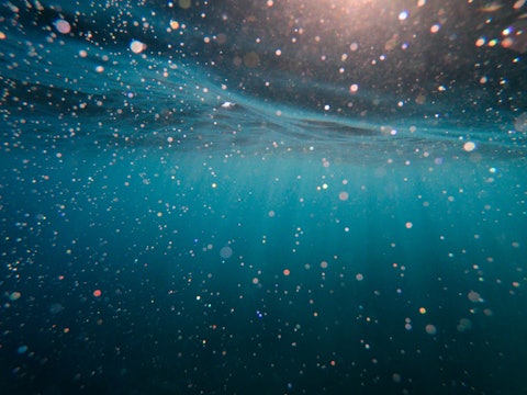 underwater photo of specks in blue water