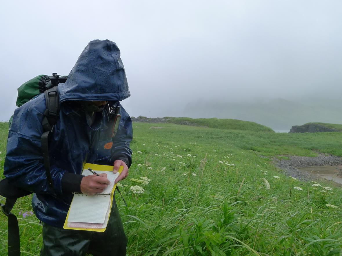 USGS Geologist Robert Witter documenting tsunami scour features near Stardust Bay, Alaska, in the Aleutian Islands.