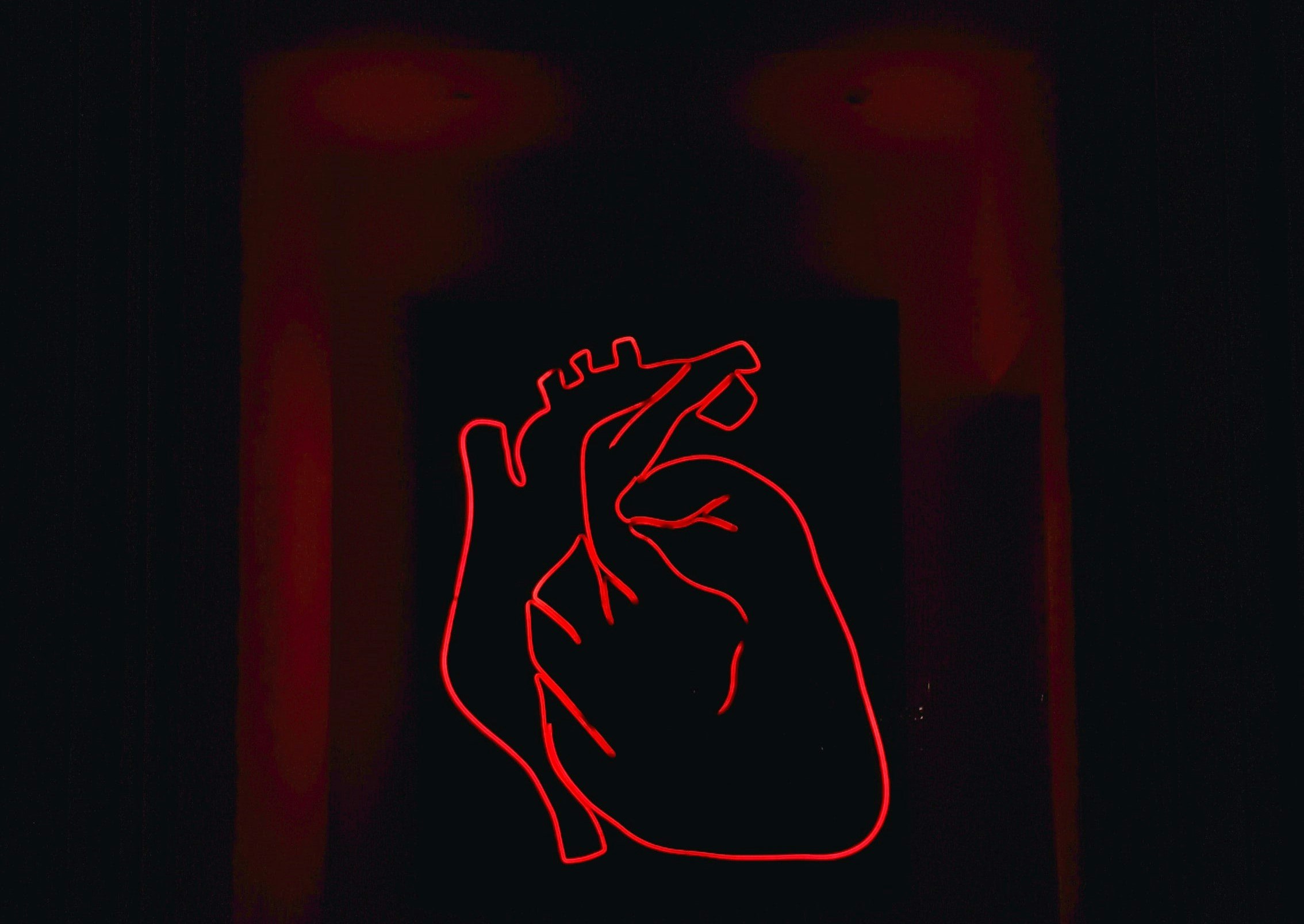 a neon sign outline of the anatomy of the human heart