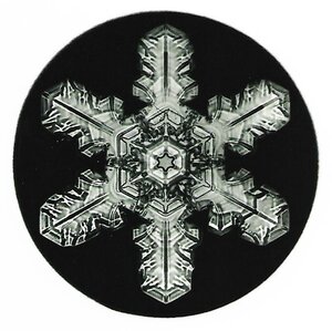 snowflake with elaborate decoration