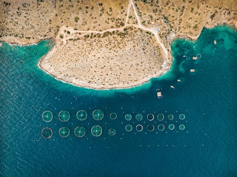 Aerial view of many circular fish farm pools in the beautiful