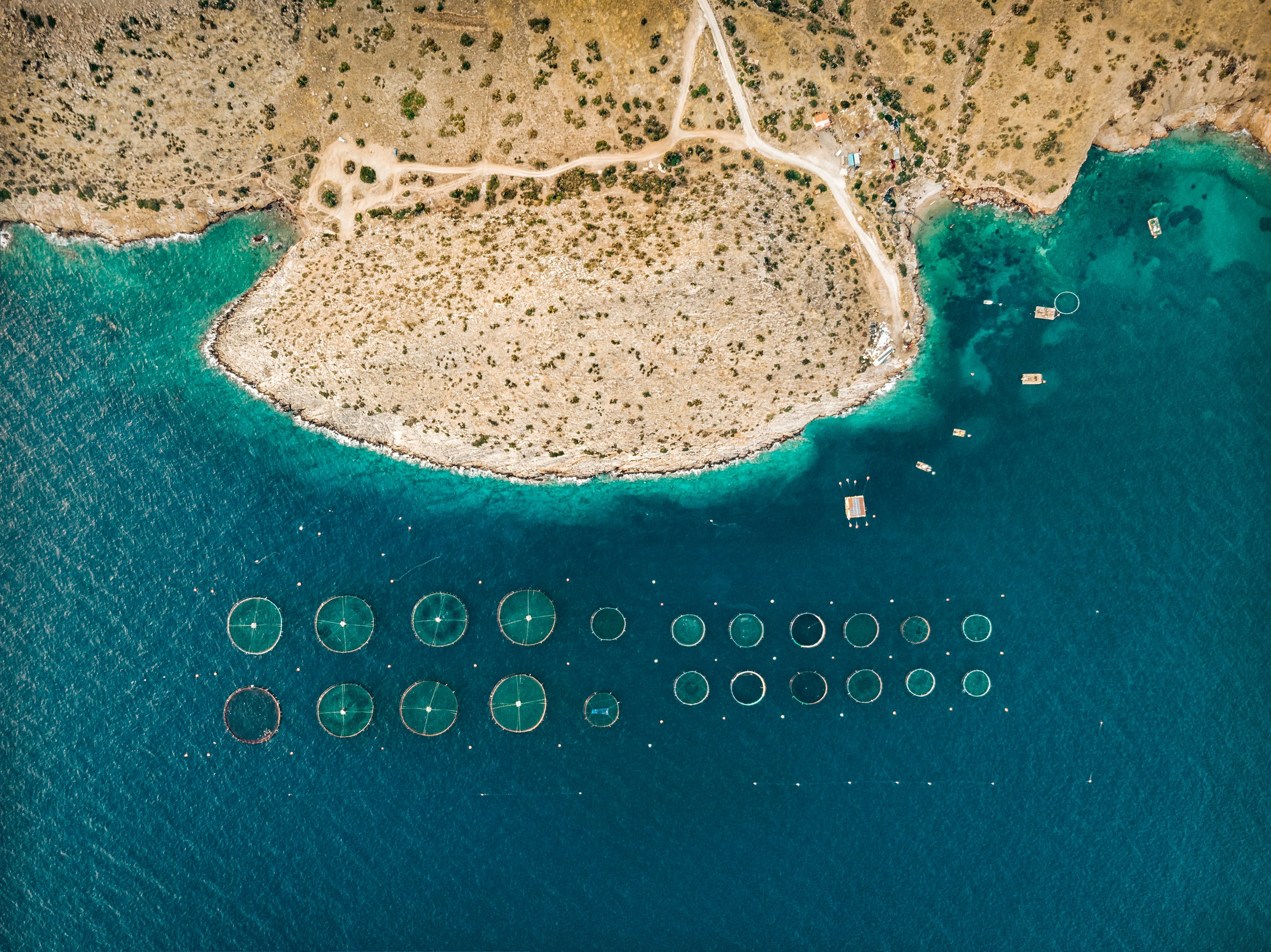 aerial photo of the coast with offshore round pens for fish