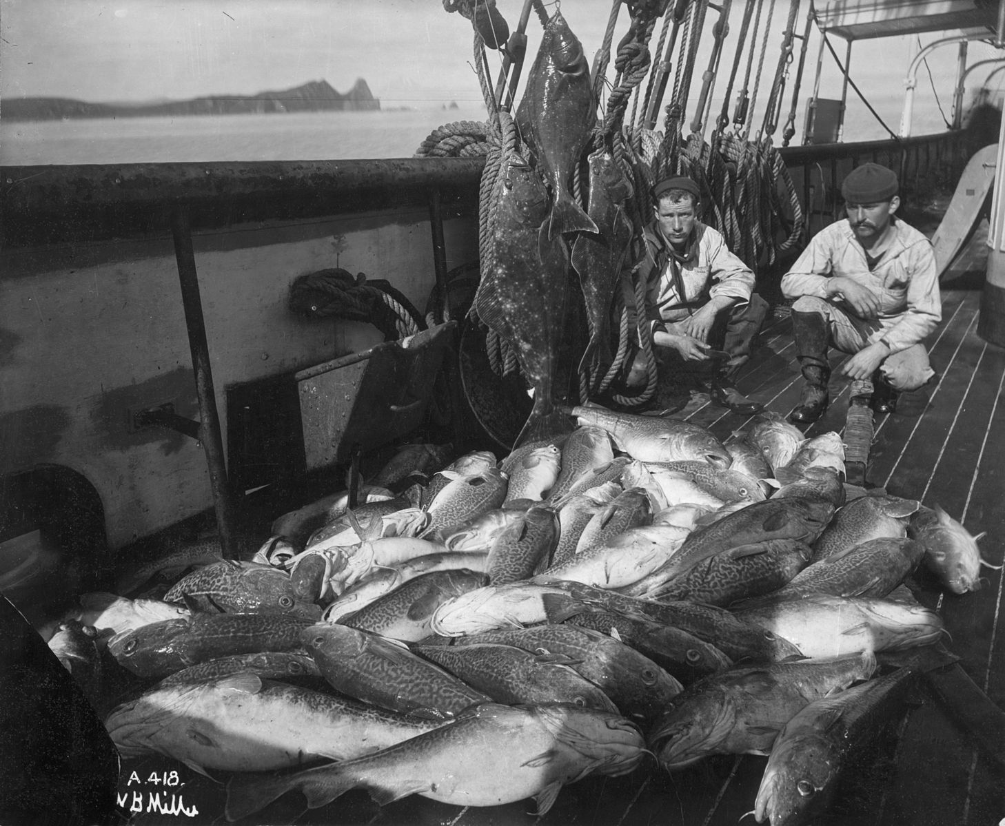 A cod and halibut fishing vessel from before 1927