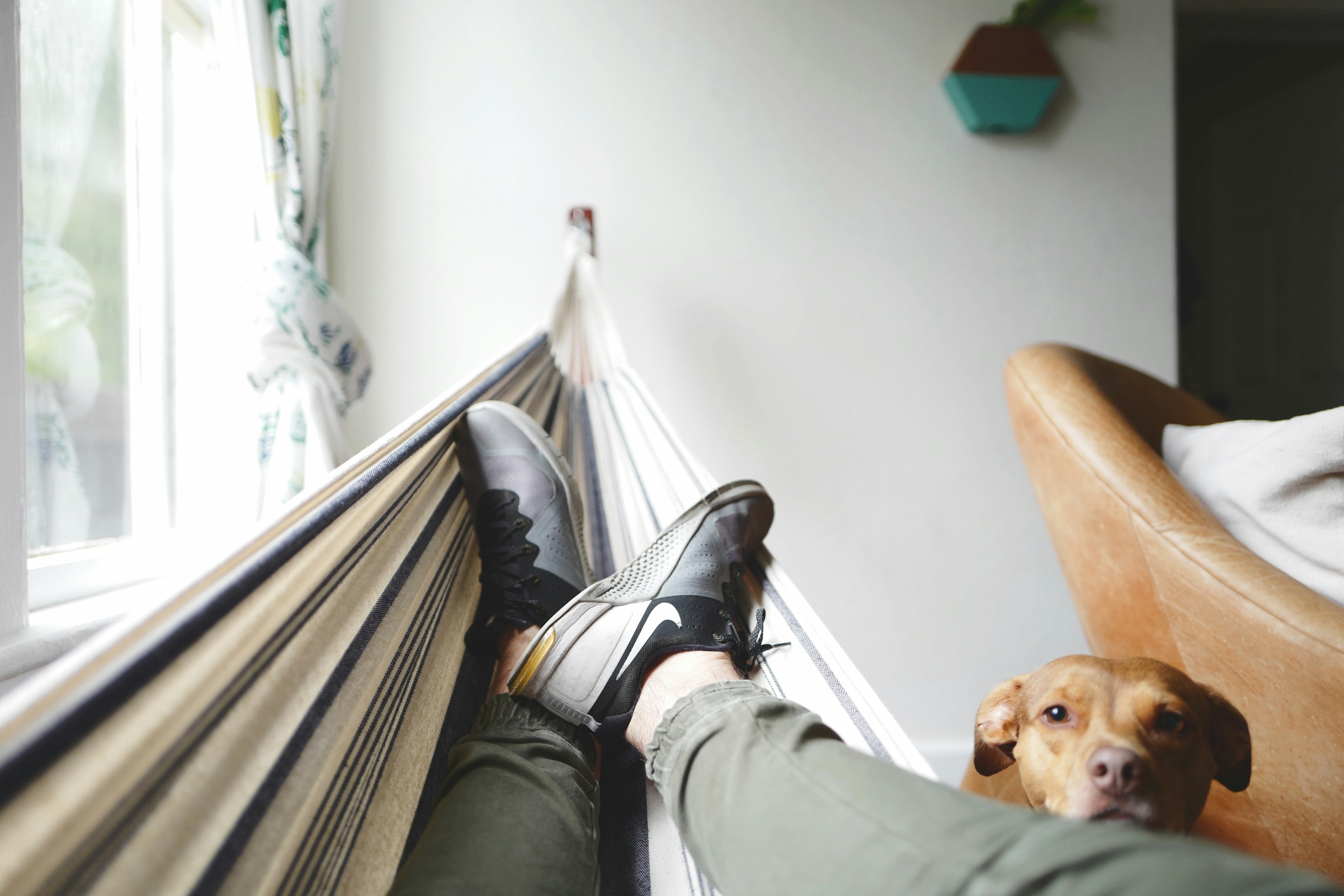 person reclining in a hammock with a dog looking on