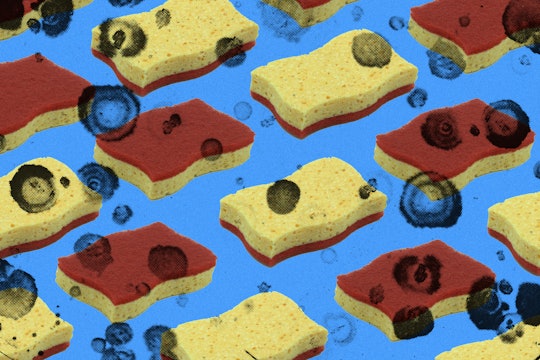 How Worried Should I Be About Bacteria on Kitchen Sponges